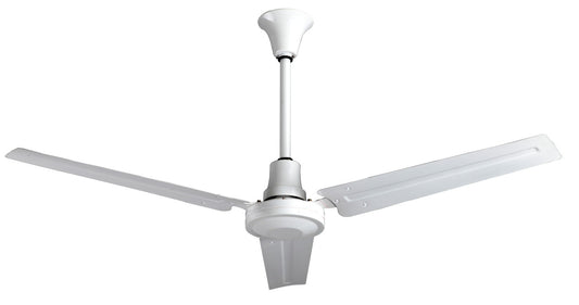 Ceiling fan