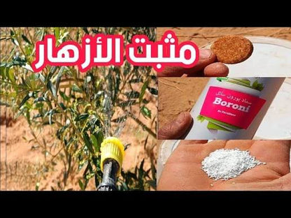 دواء مثبت زهر قرص بظرف Ghosn Trading